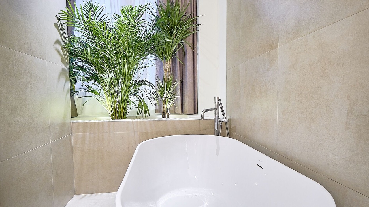 Photo of Bedroom in Conil de la Frontera City Center