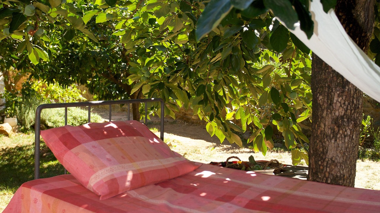 Photo of Outdoor in Alajar