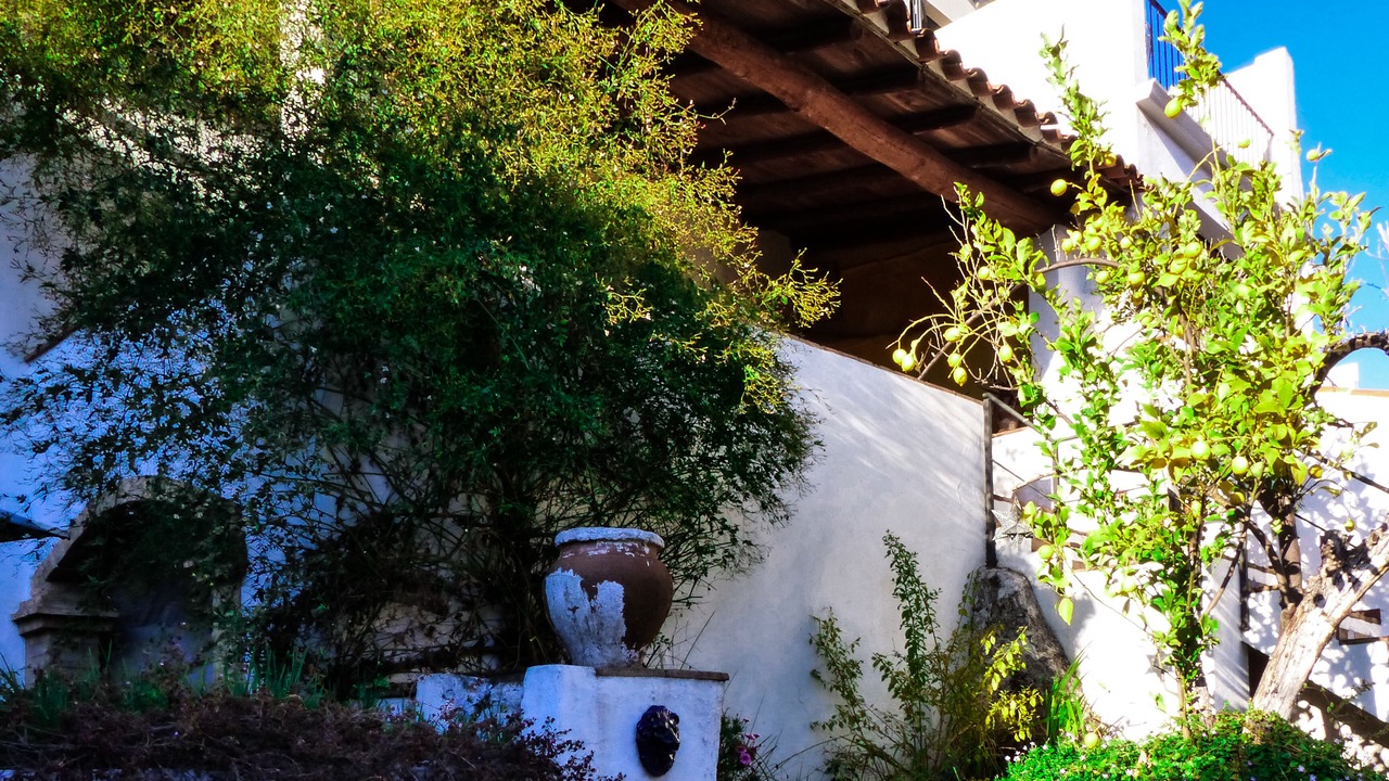 Photo of Outdoor in Alajar