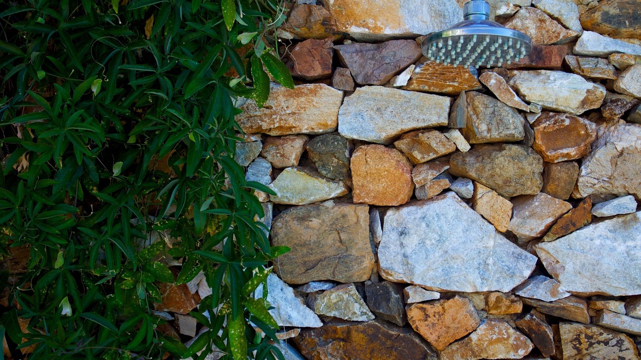 Photo of Outdoor in Alajar