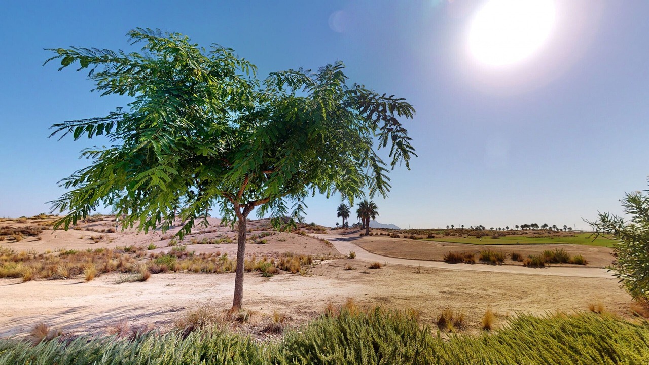 Photo of Others in Torre-Pacheco