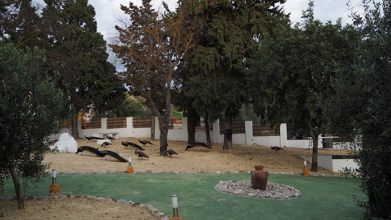 Photo of Outdoor in Arcos de la Frontera
