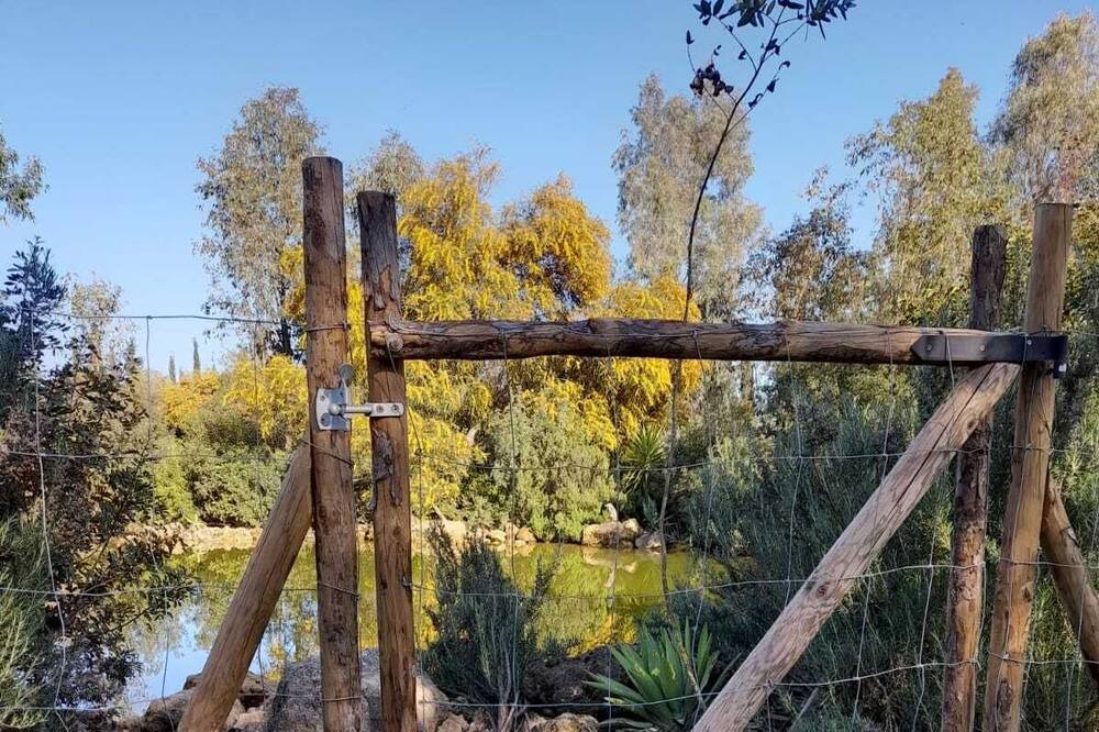 Photo of Outdoor in Villamanrique de la Condesa