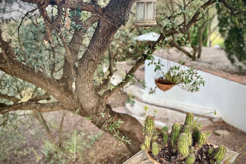 Photo of Outdoor in Riogordo