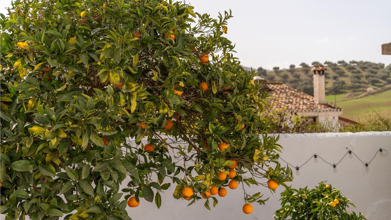 Photo of Outdoor in Riogordo