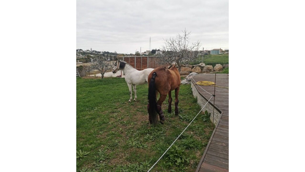Photo of Outdoor in New Golden Mile