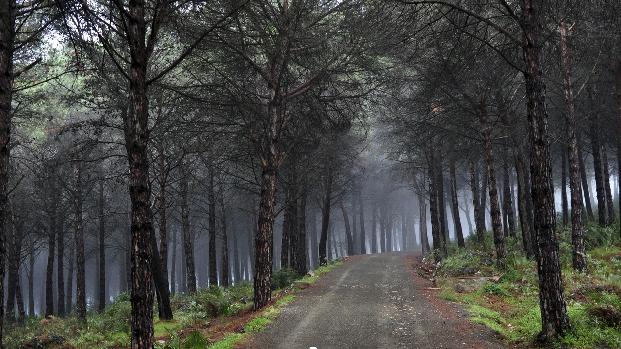Photo of Outdoor in Alhaurin el Grande