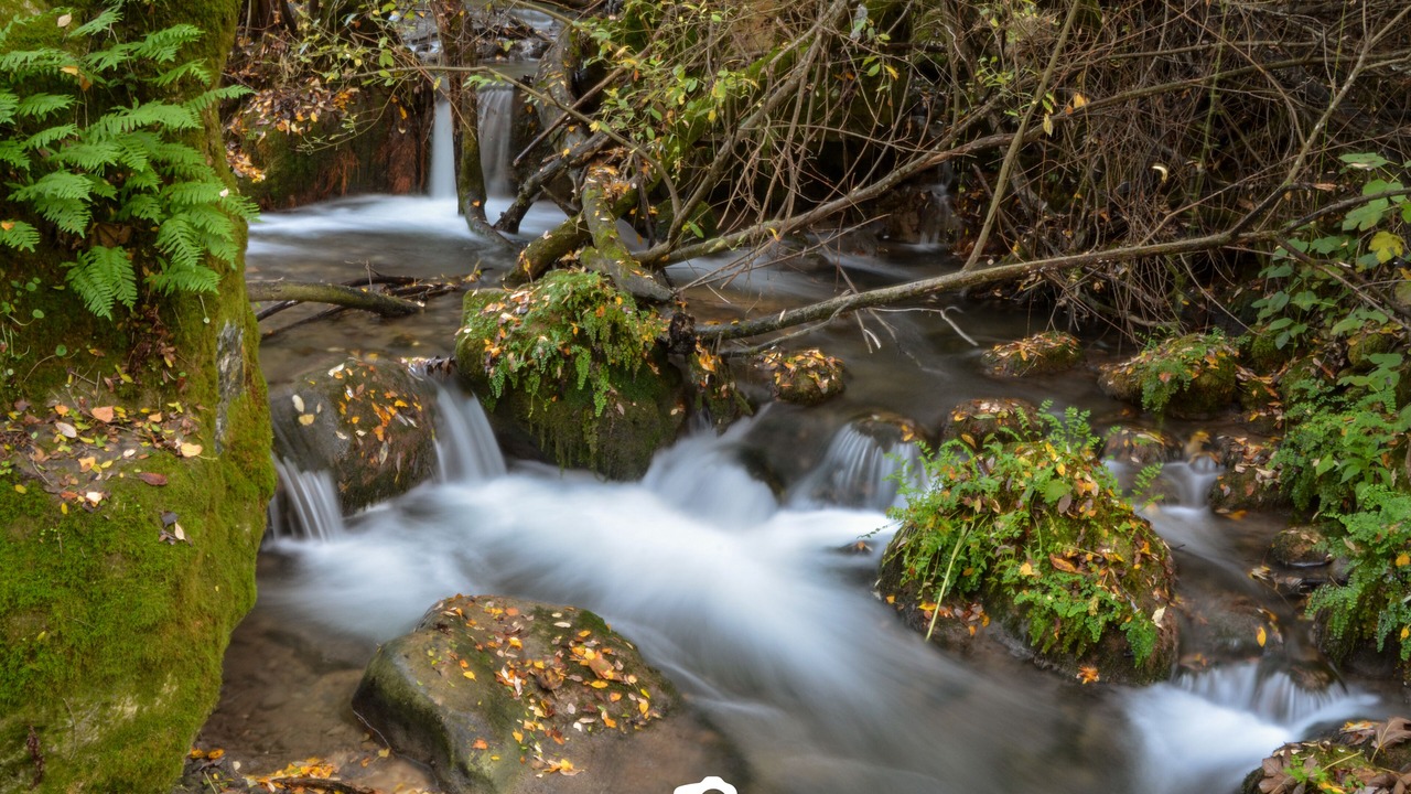 Photo of Outdoor in Alhaurin el Grande