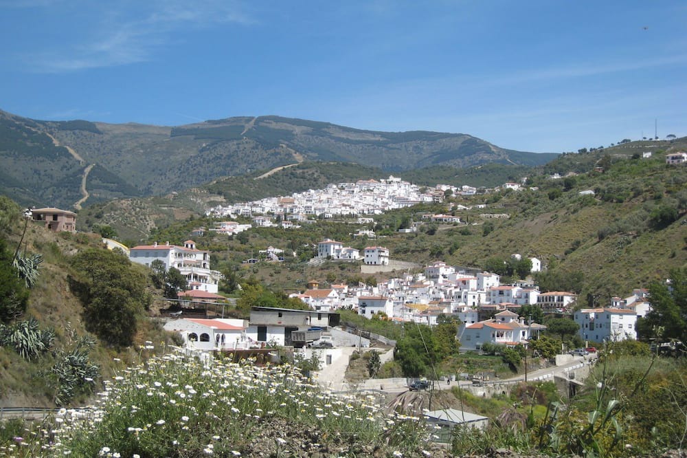 Photo of Outdoor in Arenas