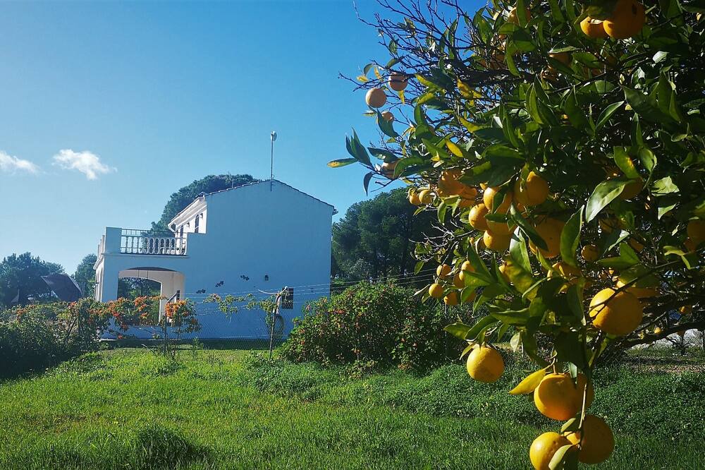 Photo of Others in Villablanca