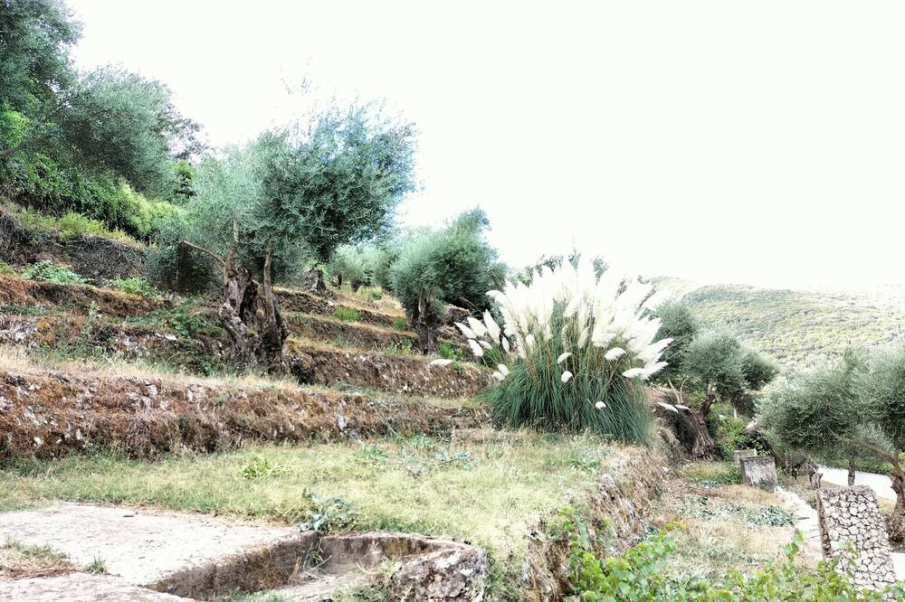 Photo of Outdoor in Benamahoma