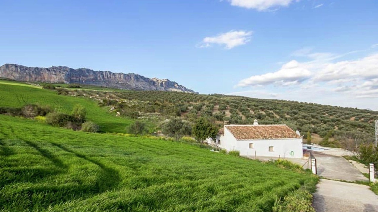 Photo of Others in Antequera