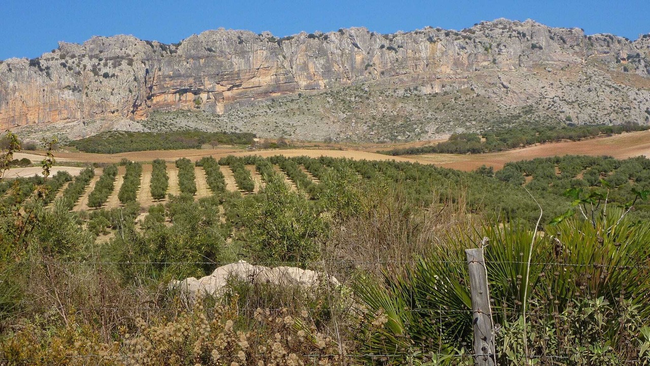 Photo of Others in Antequera
