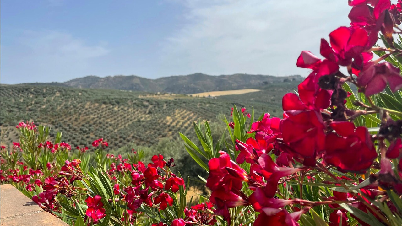Photo of Outdoor in Riogordo