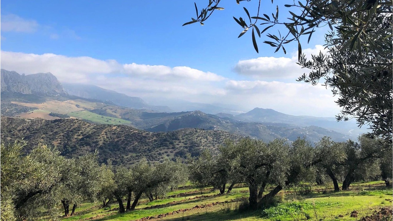 Photo of Outdoor in Riogordo
