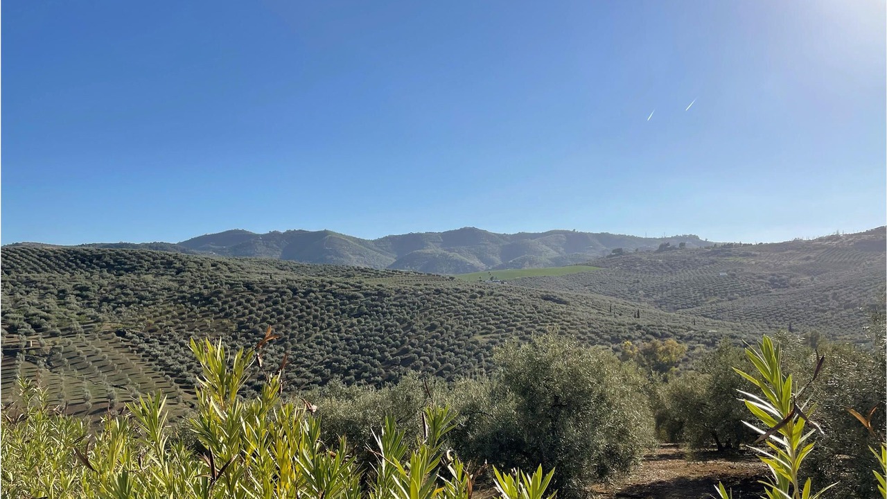 Photo of Outdoor in Riogordo