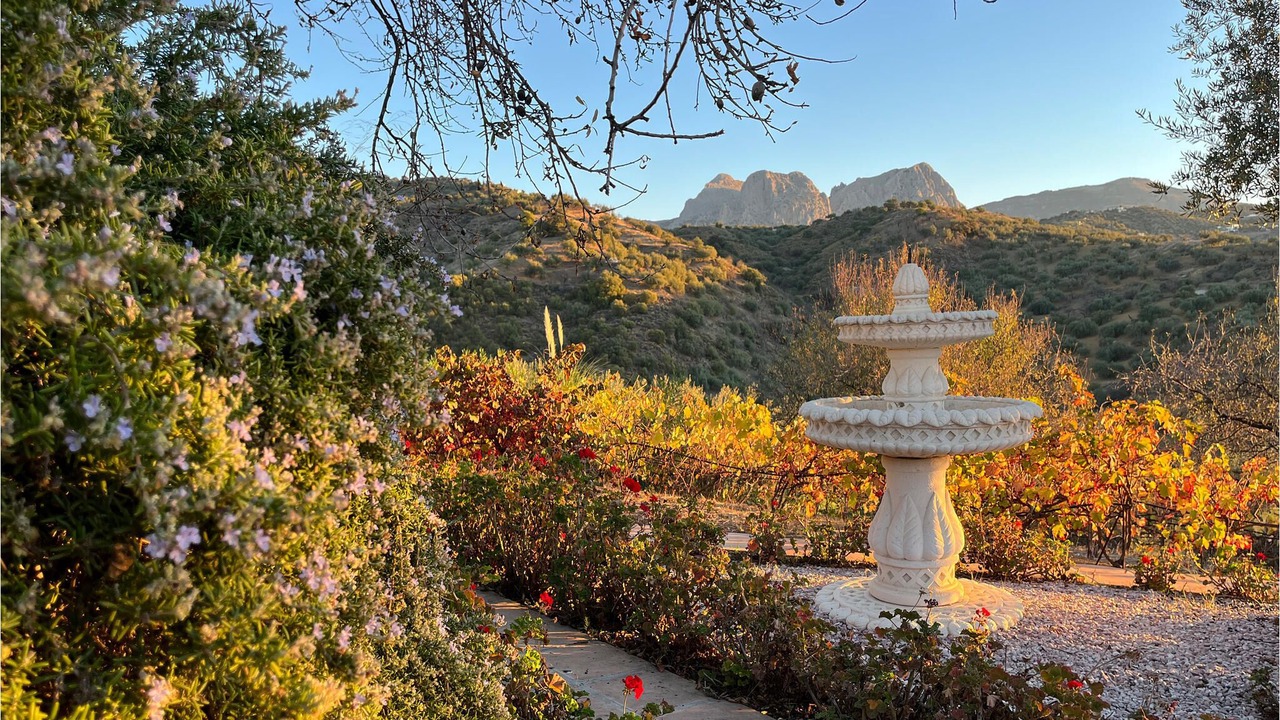Photo of Outdoor in Riogordo