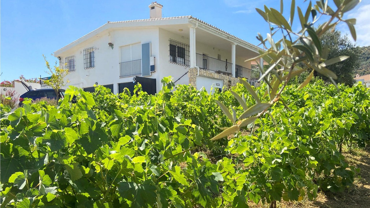 Photo of Outdoor in Riogordo