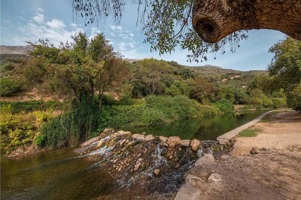 Photo of Others in Jimera de Libar