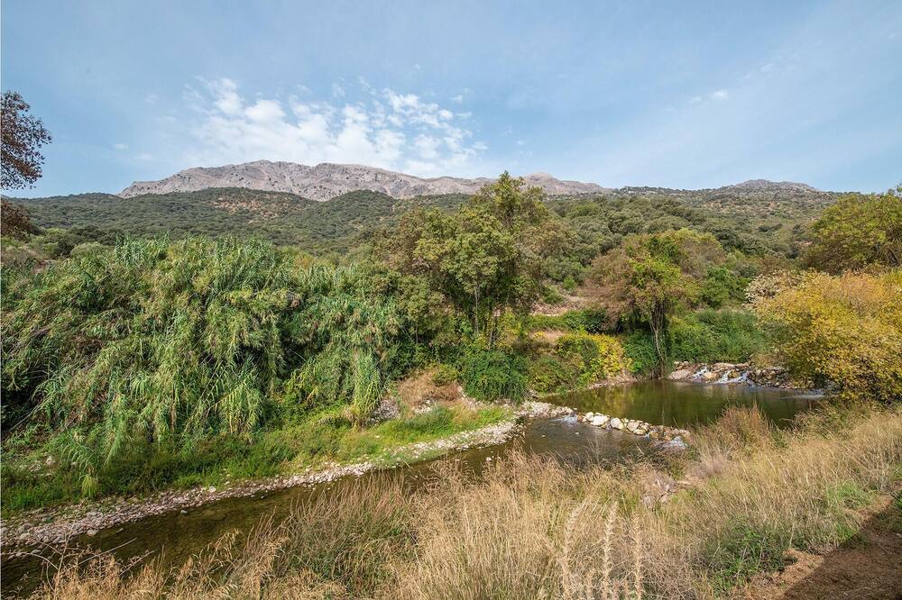 Photo of Others in Jimera de Libar
