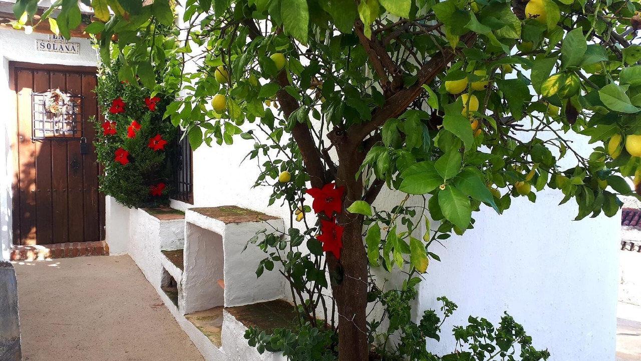 Photo of Outdoor in Benadalid