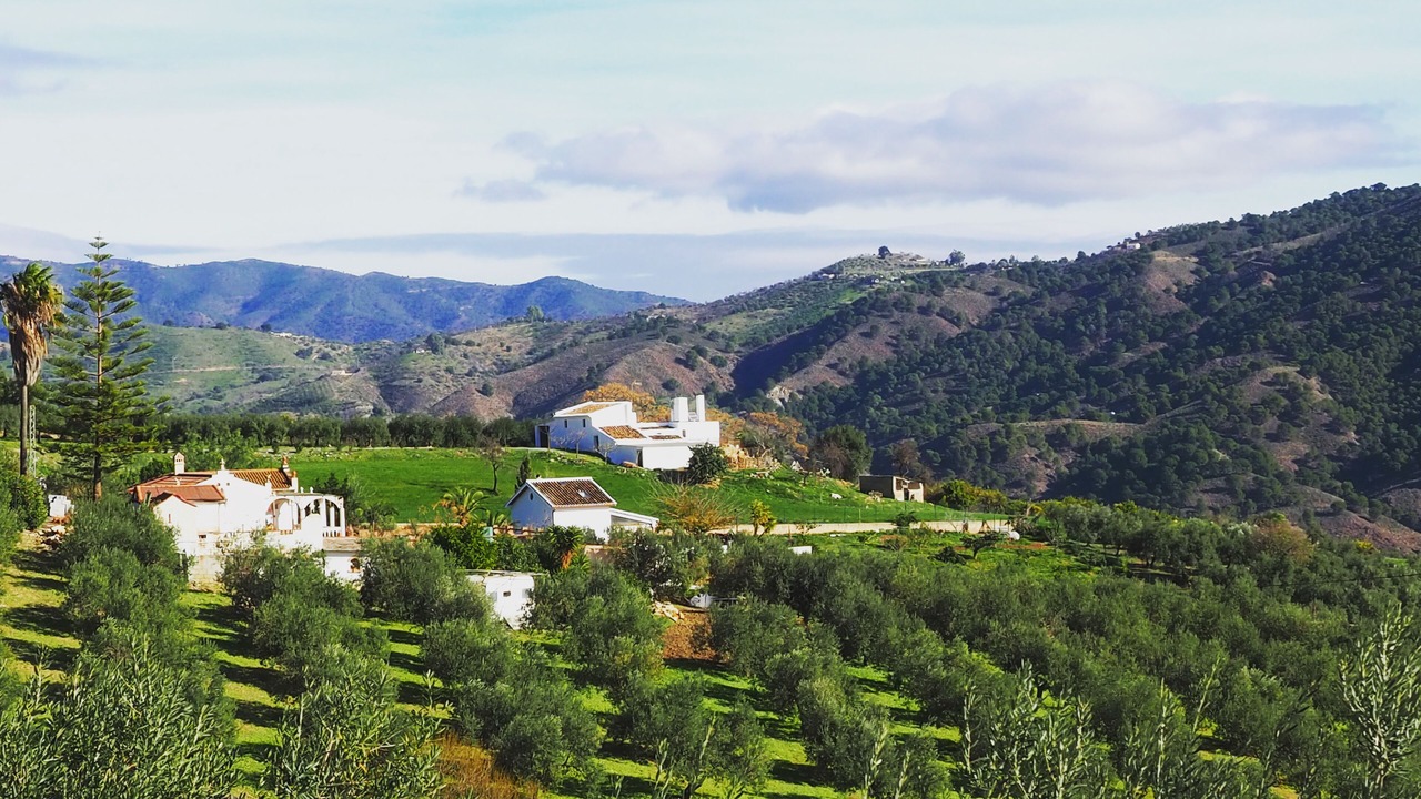 Photo of Outdoor in Casarabonela