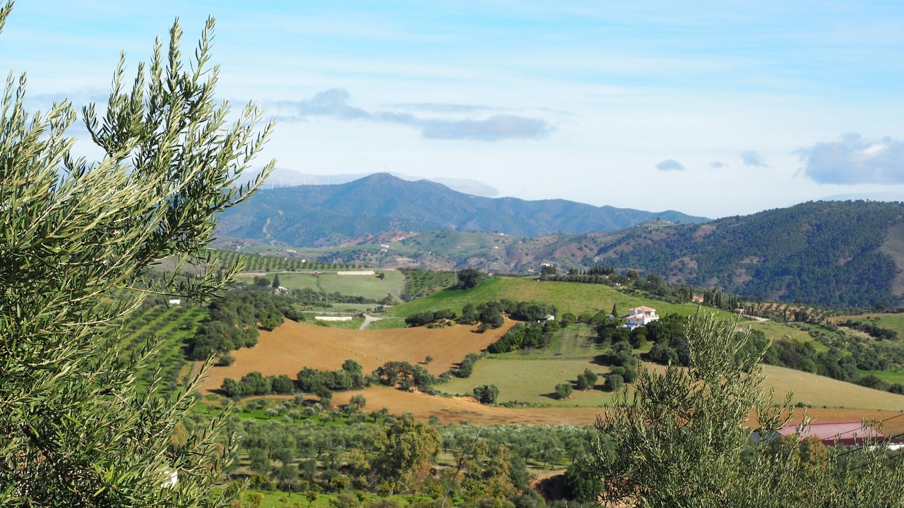Photo of Outdoor in Casarabonela