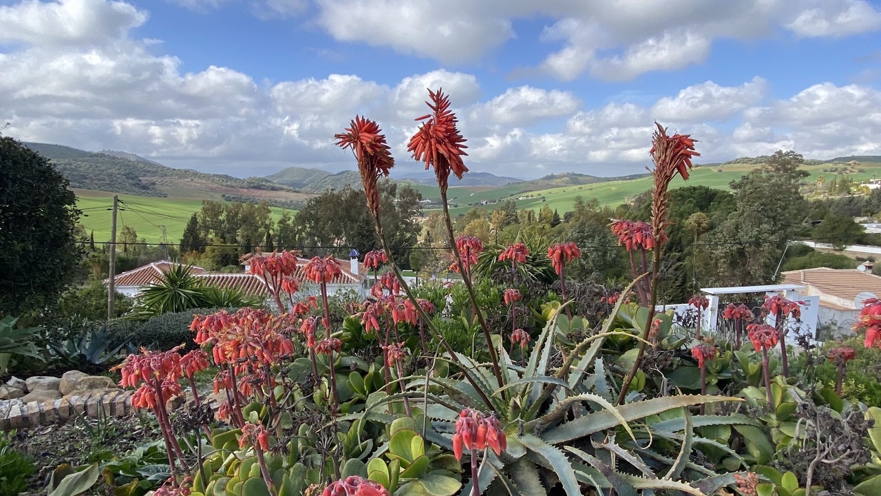 Photo of Outdoor in Almogia