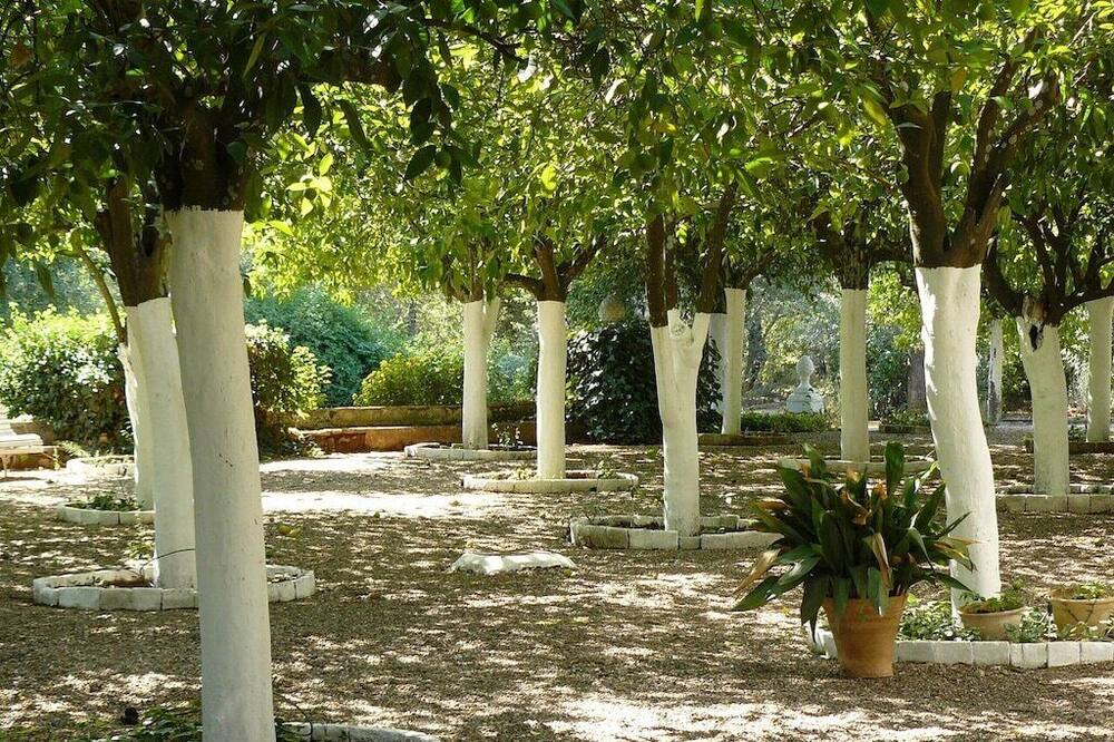 Photo of Others in Hornachuelos