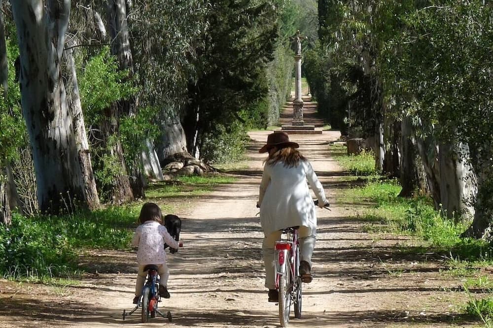 Photo of Outdoor in Hornachuelos