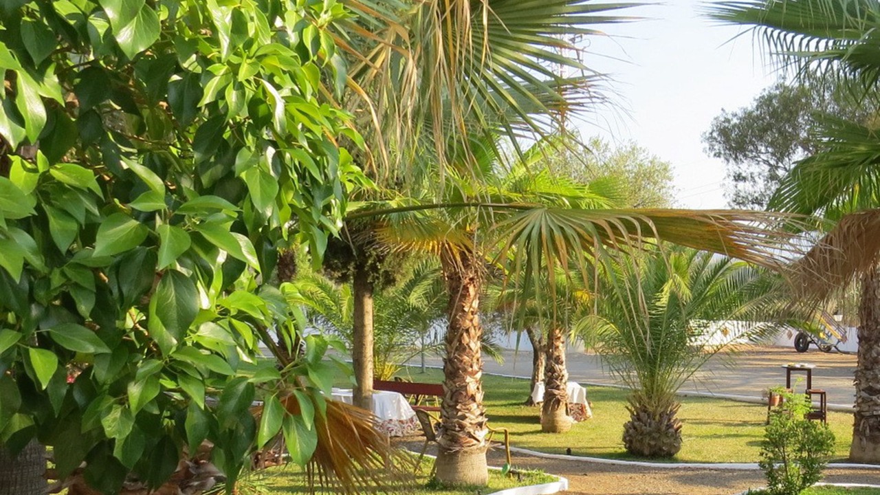 Photo of Outdoor in Pizarra