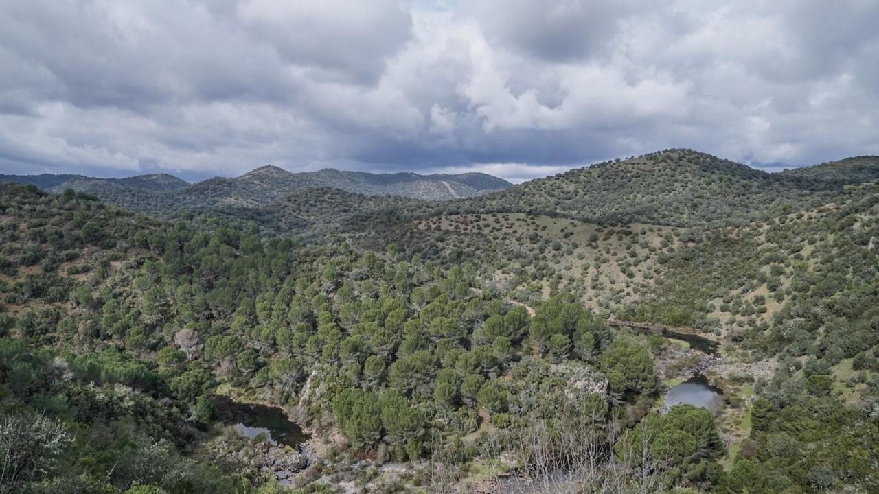 Photo of Others in Las Jaras