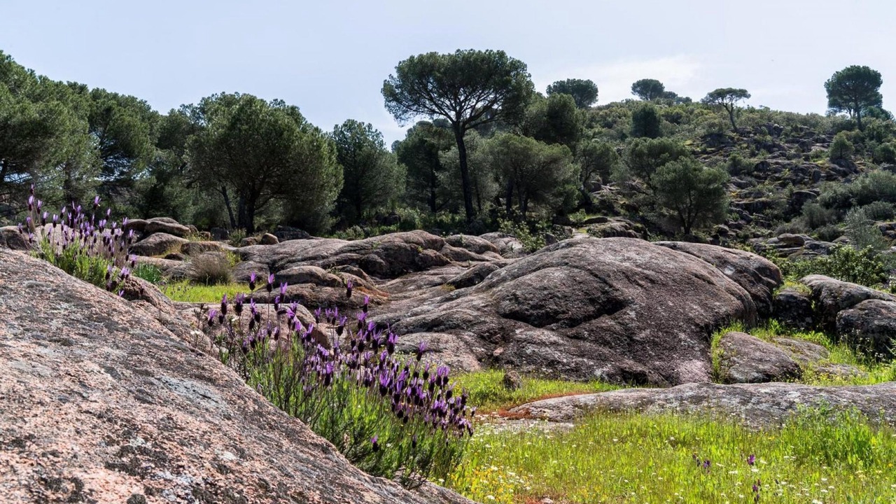 Photo of Outdoor in Las Jaras