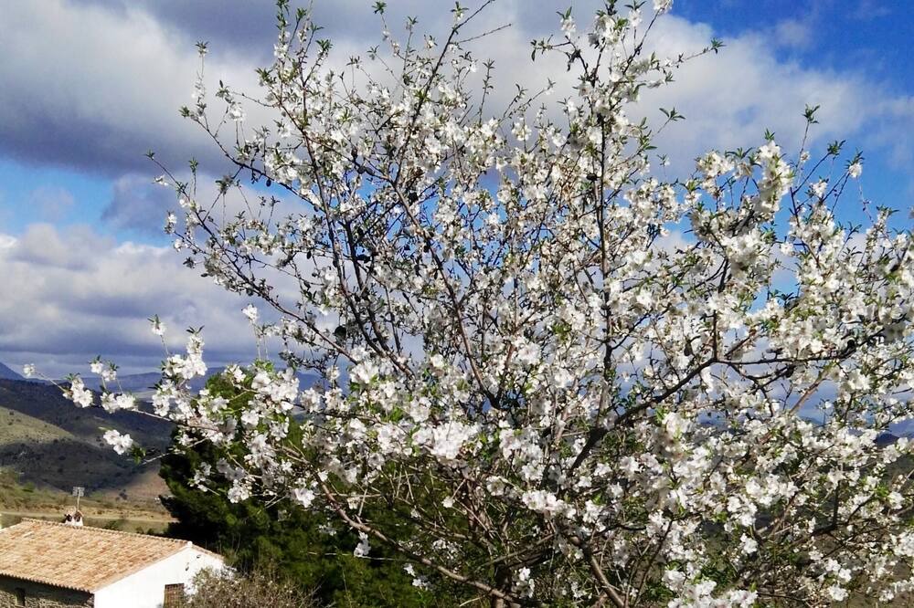 Photo of Outdoor in Valle del Guadalhorce