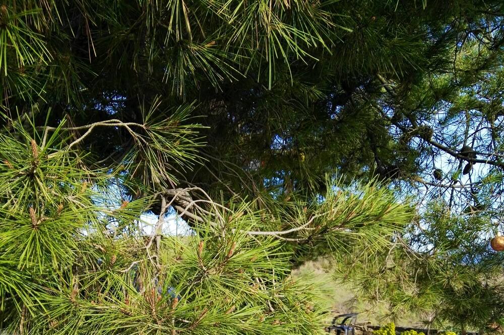 Photo of Outdoor in Valle del Guadalhorce