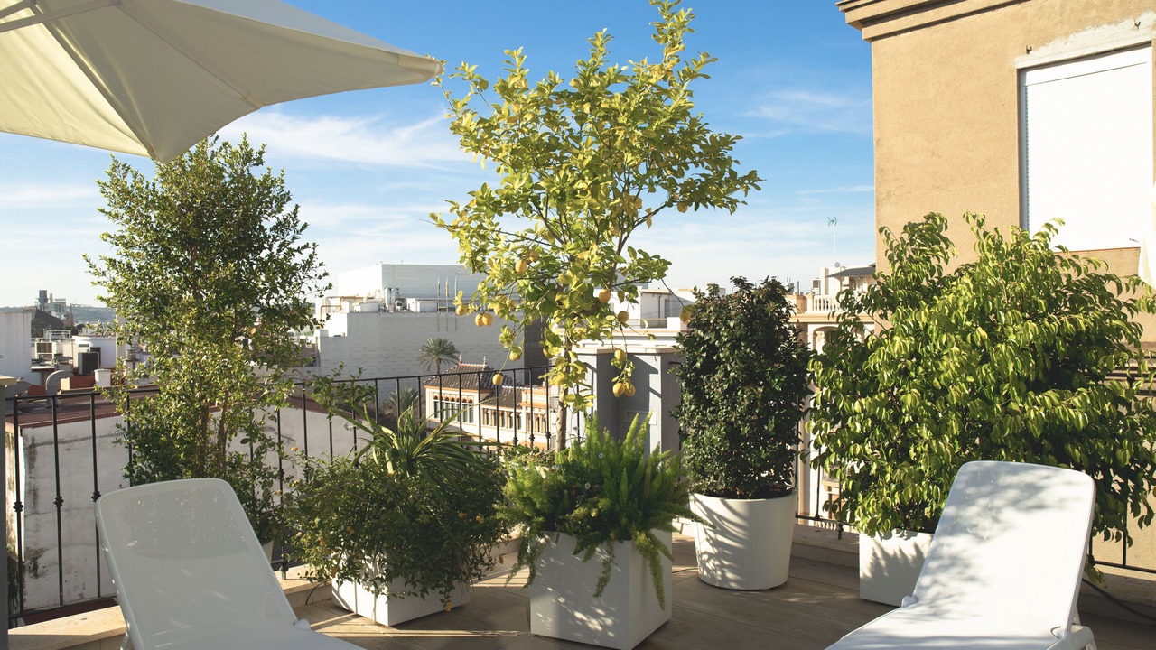 Photo of Patio Balcony in Historical Center