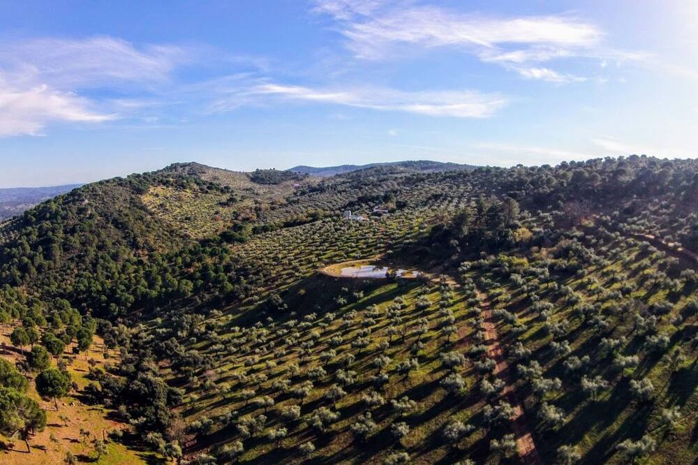 Photo of Outdoor in Alcaracejos