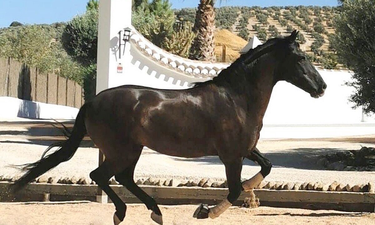 Photo of Outdoor in Villanueva del Trabuco