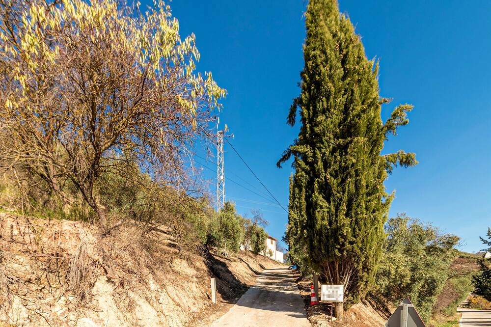 Photo of Others in Villanueva de Algaidas