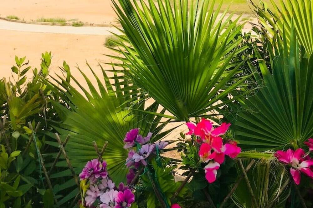 Photo of Outdoor in Hacienda del Alamo