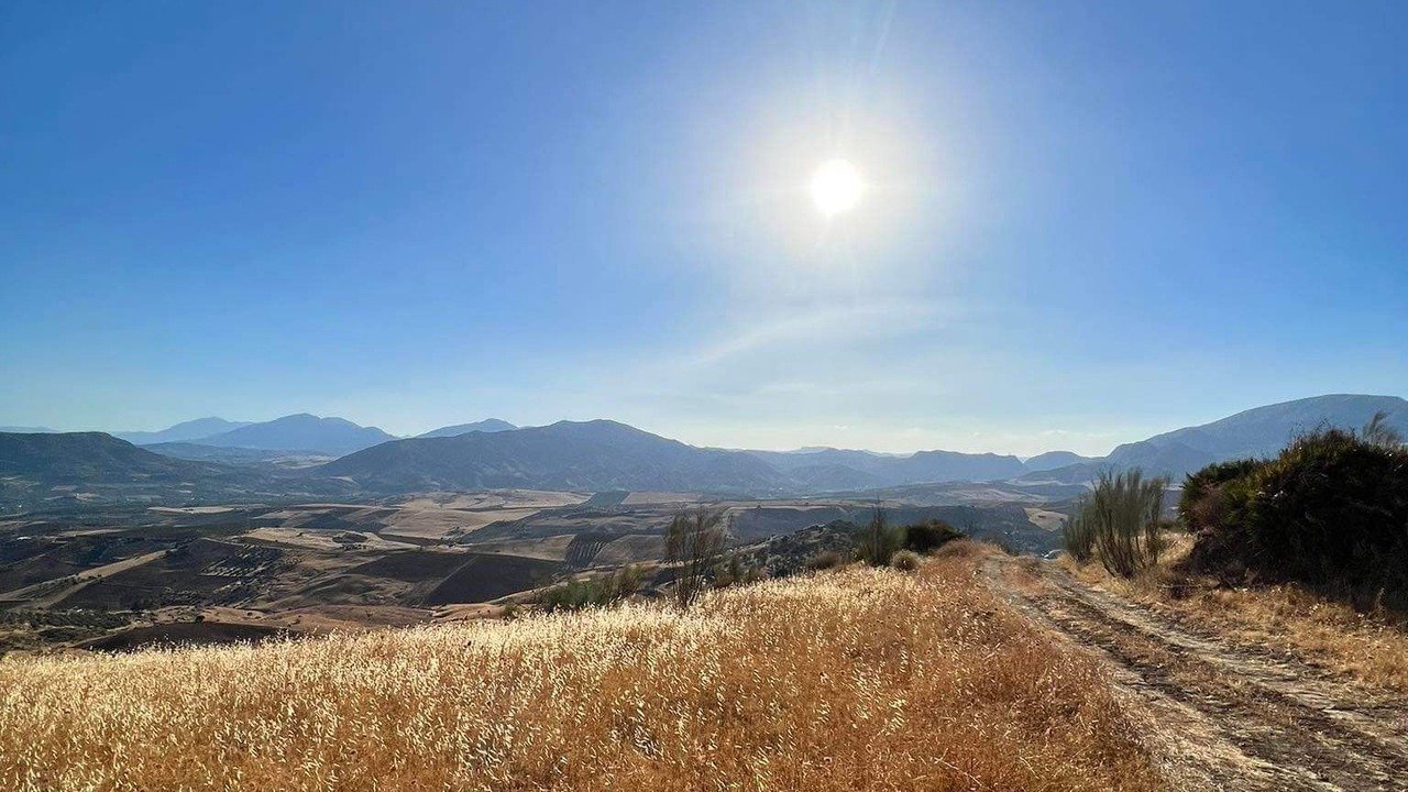 Photo of Outdoor in Alora
