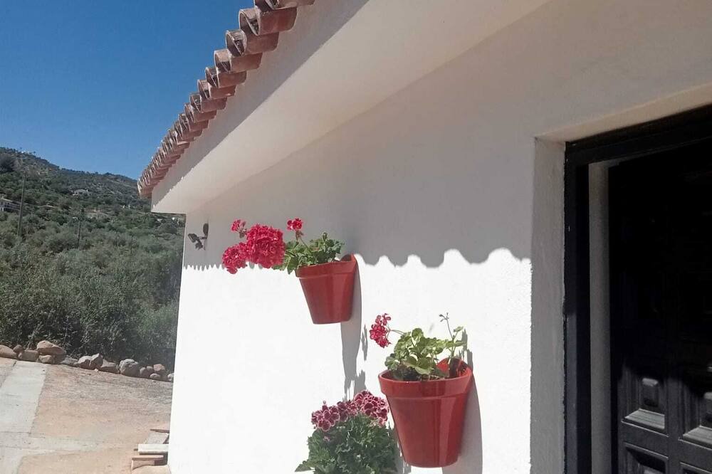 Photo of Outdoor in Guaro