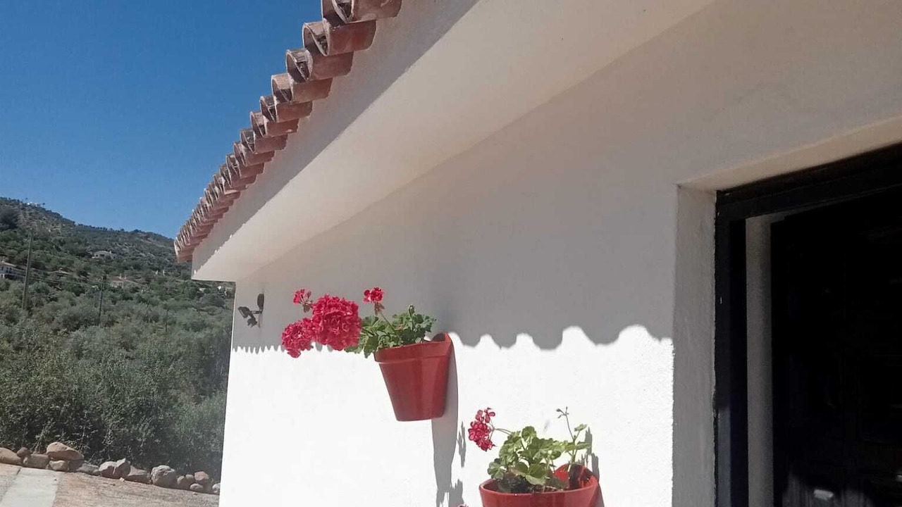 Photo of Outdoor in Guaro
