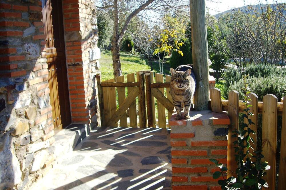 Photo of Patio Balcony in La Acena de la Borrega
