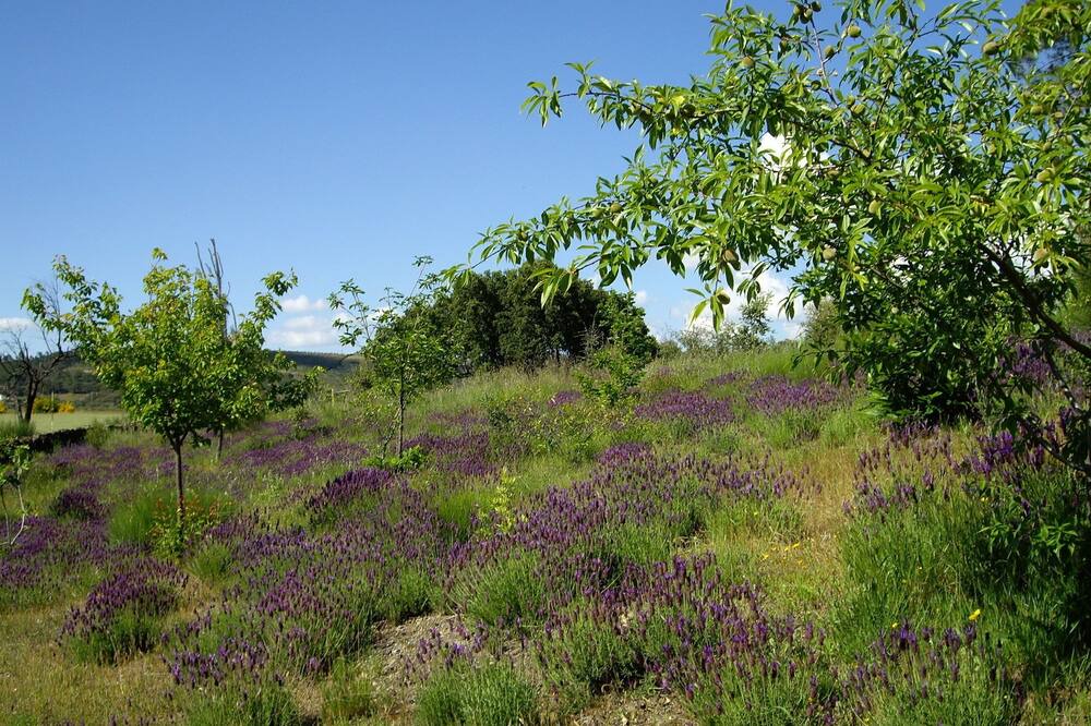 Photo of Outdoor in La Acena de la Borrega