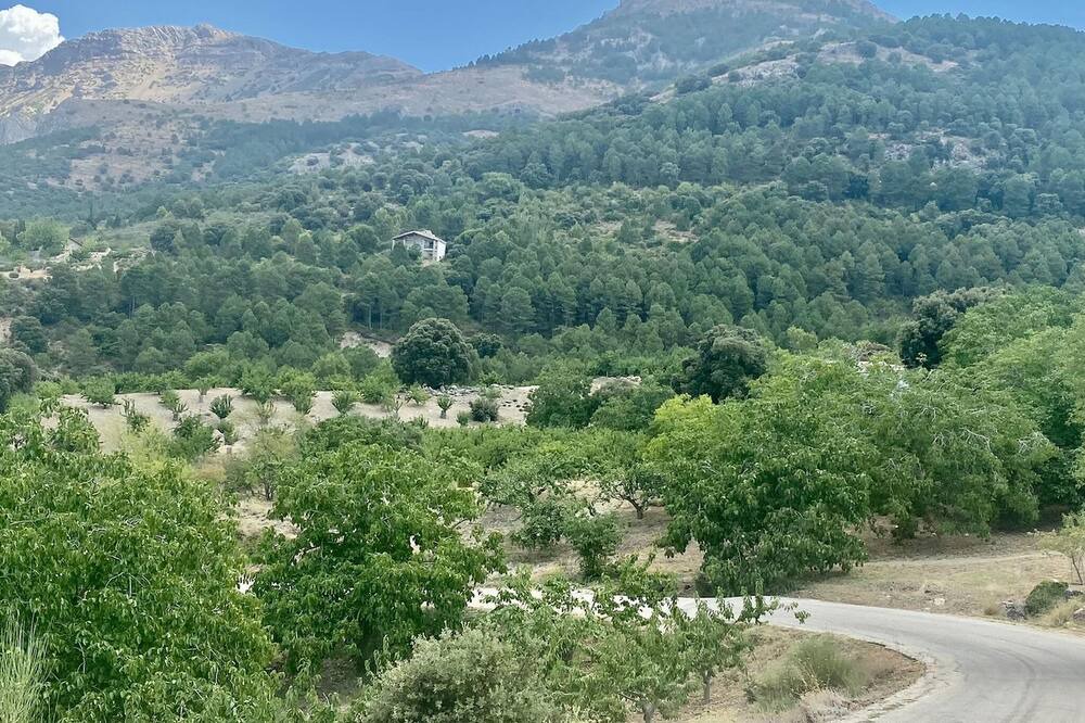 Photo of Others in Torres