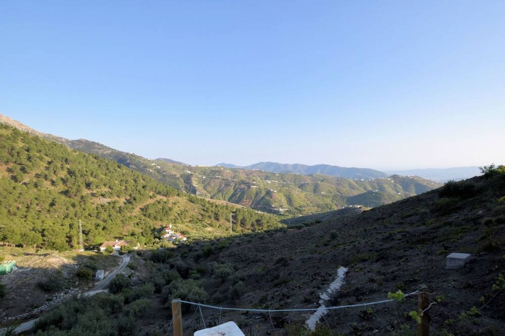 Photo of Others in Canillas de Aceituno