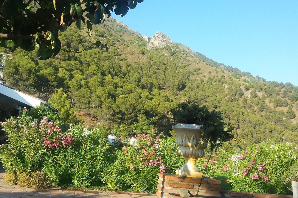 Photo of Others in Canillas de Aceituno