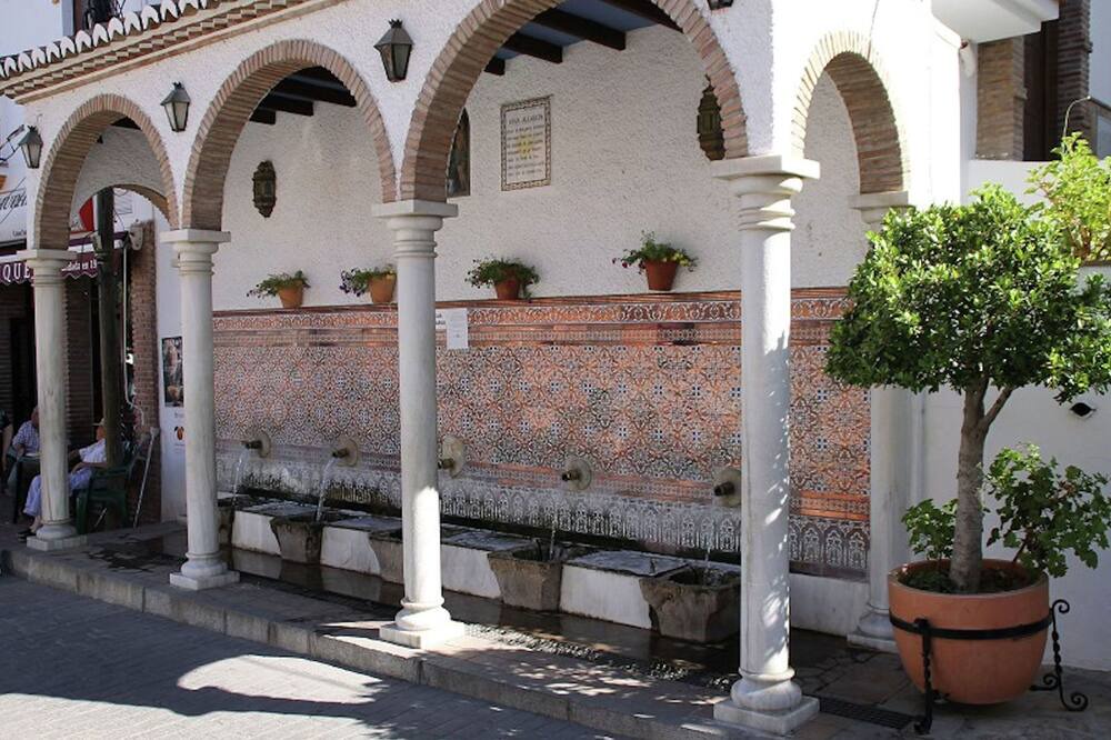 Photo of Others in Canillas de Aceituno