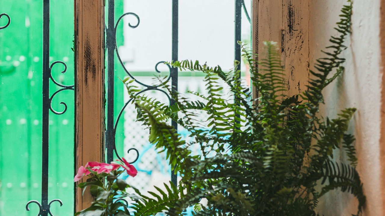 Photo of Bedroom in Canillas de Aceituno